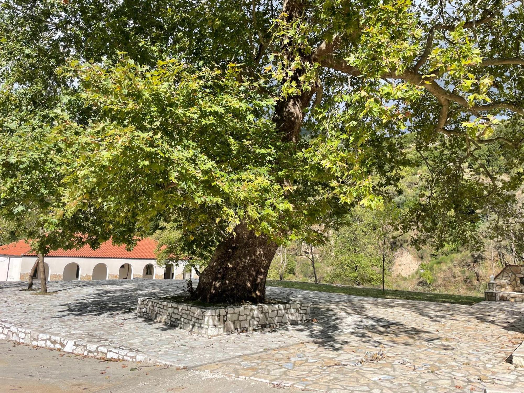 Sinan Moraci Villa Dukat Buitenkant foto